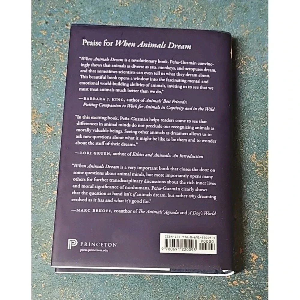 N/A slip cover